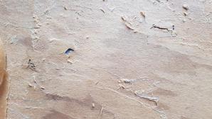 Un peu d'eau pulvérisée à l'aide d'un spray