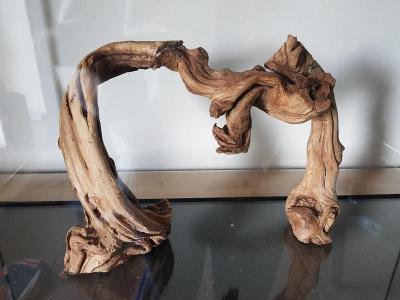 Assemblage de 3 morceaux de vigne