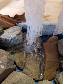 La dernière vérification au sec