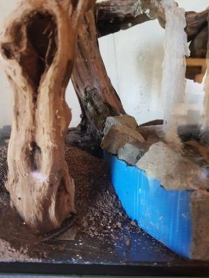 L'installation du substrat
