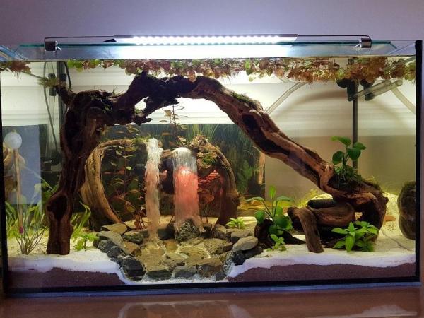 L'aquarium terminé
