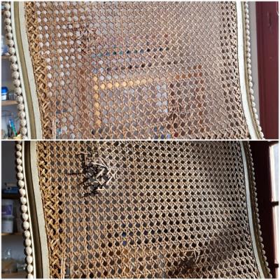 Cannage avant apres 1