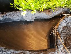 L'emplacement encore vide pour la mousse des bois