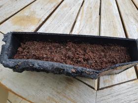 Et sur l'ouate, du substrat nourricier pour plantes d'aquarium