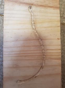 Le gabarit vite fait au Dremel