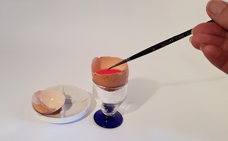 Fabriquons nos peinture : La peinture à l'œuf ou tempera